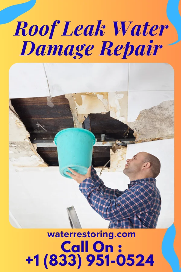 Roof Leak Water Damage Repair in Wamac, IL
