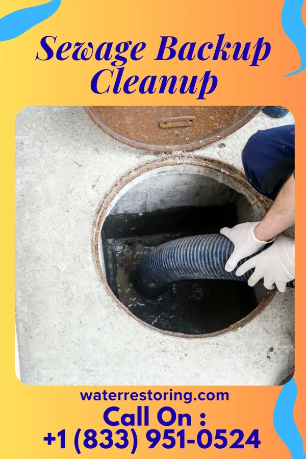 Sewage Backup Cleanup in Wamac, IL